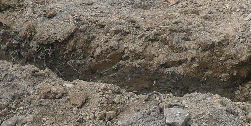 Le début du chantier
